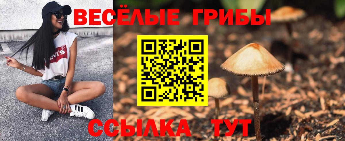Галлюциногенные грибы MAGIC MUSHROOMS Валуйки
